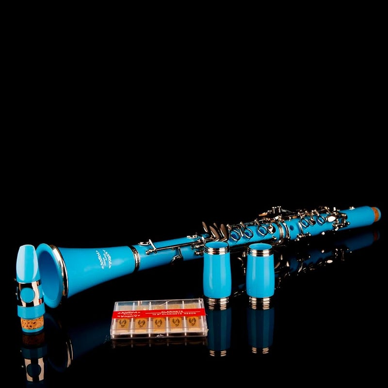 Glory GLY-CLALB Professional Ebonite Bb Clarinet with 10 Reeds, Stand, Hard Case, Cleaning Cloth, Mouthpiece Brush and Pad Brush,Light Blue/Silver - Image 5
